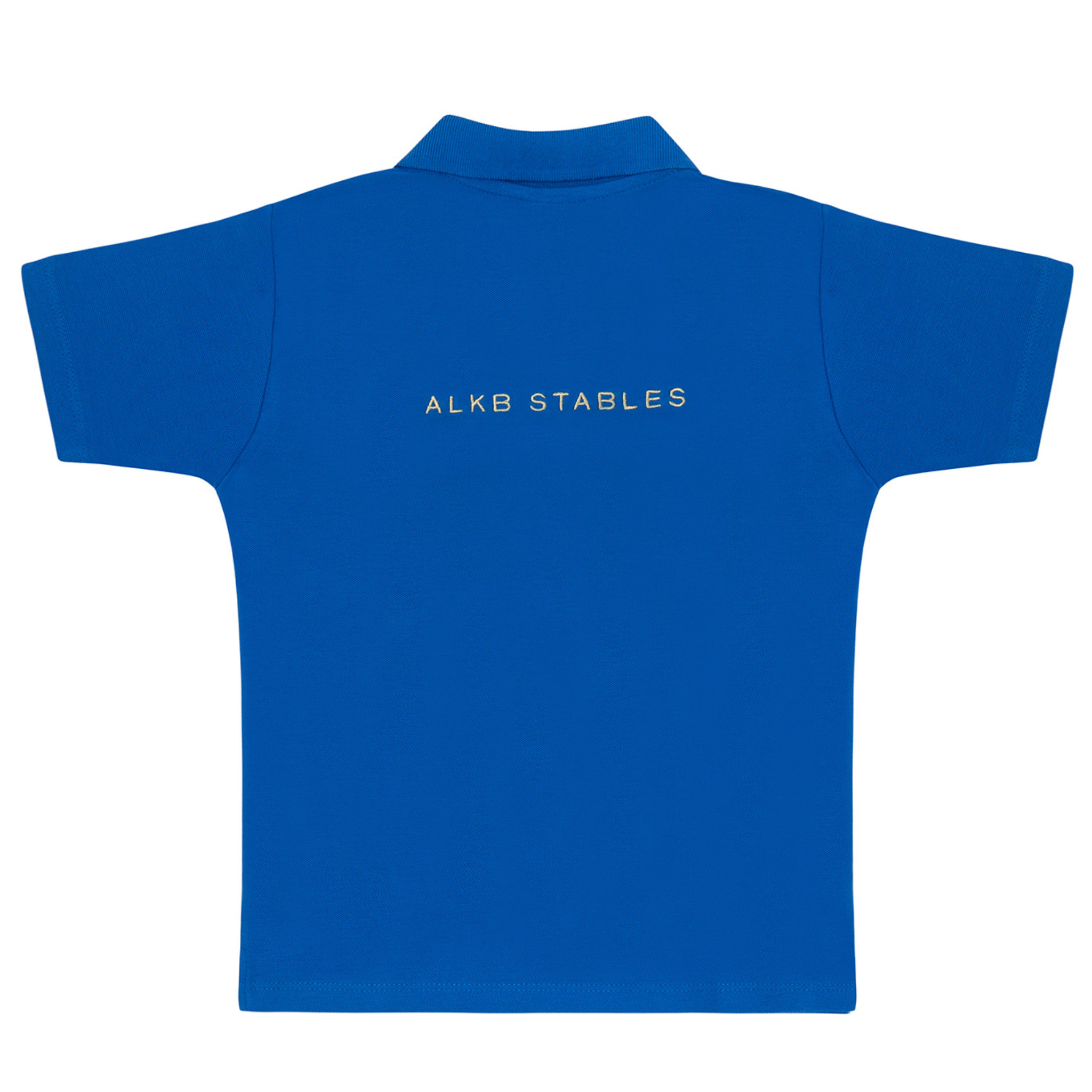 Boy ALKB Blue Polo Shirt