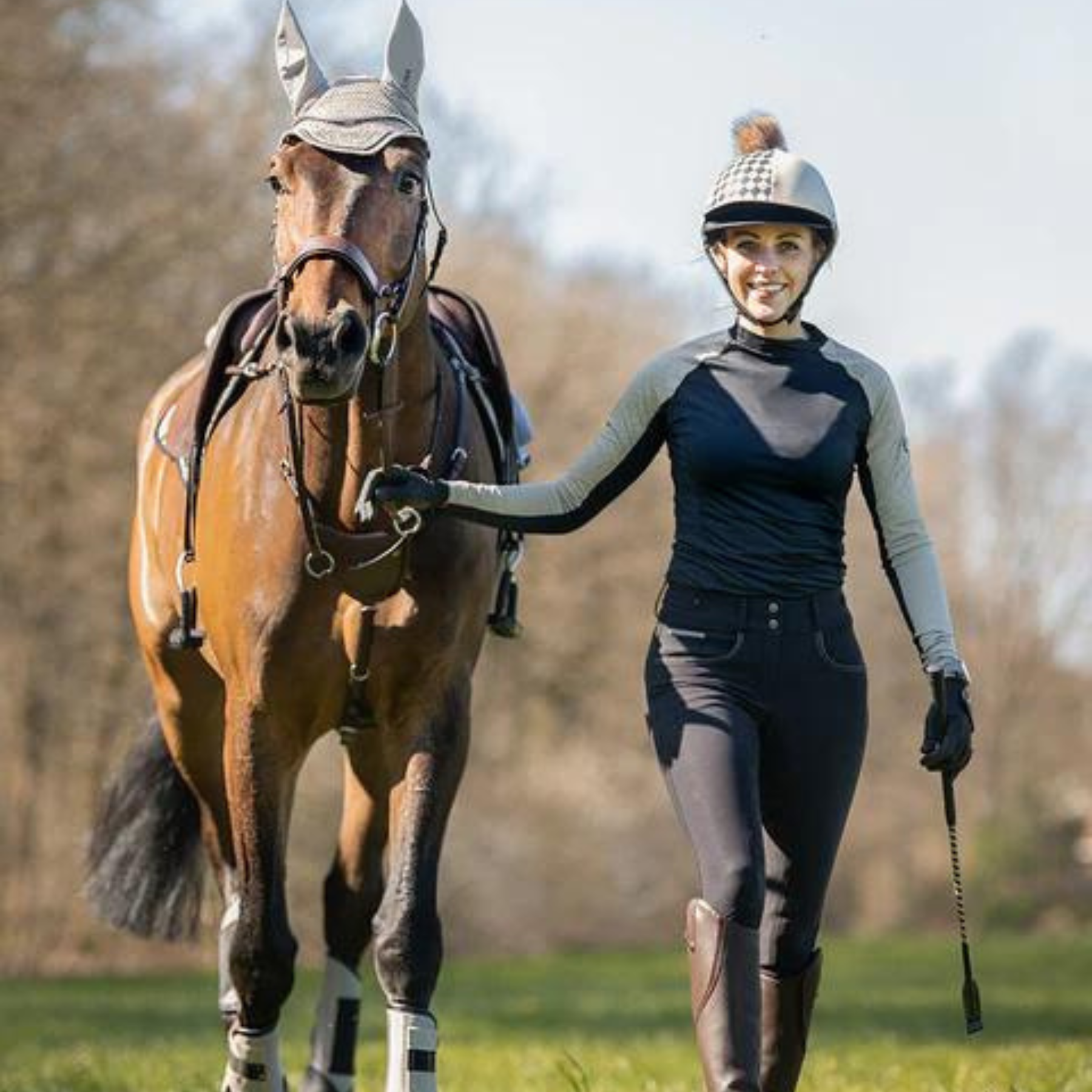 Jumping Whip Eldorado for Show Jumping