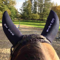 DFG Equestrian Earbonnet Black We Can Do This