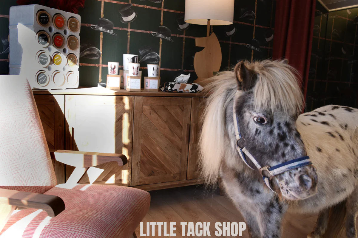 Little Tack Shop Gift Card